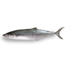 FISH TENGGIRI Frozen (Sold by kg)