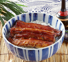 FISH FILLET UNAGI Japan (Sold by kg)