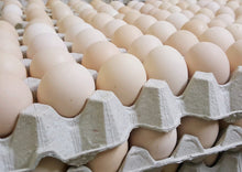 EGG Kampung/VILLAGE Local 30pcs/tray